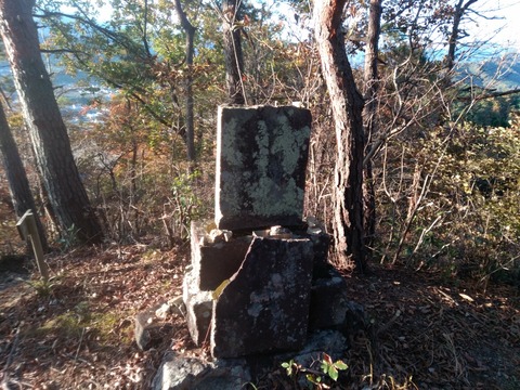 IMG_20201115_072609