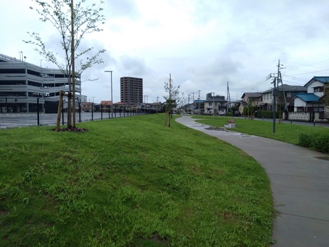 IMG_20200725_133226