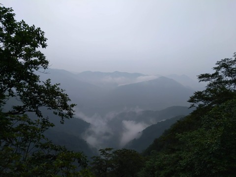 IMG_20200809_085745_1