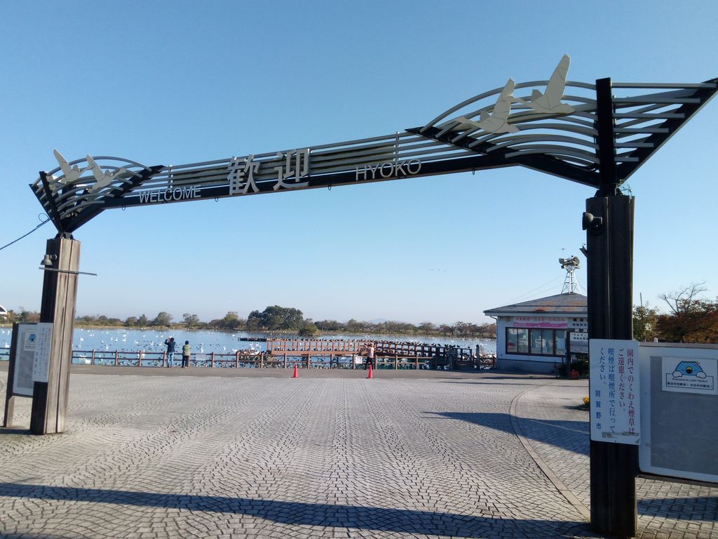 白鳥をみながら瓢湖ランニング 徒然なるランニングのblog