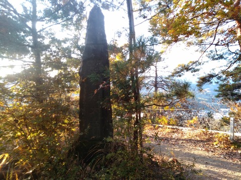 IMG_20201115_071100