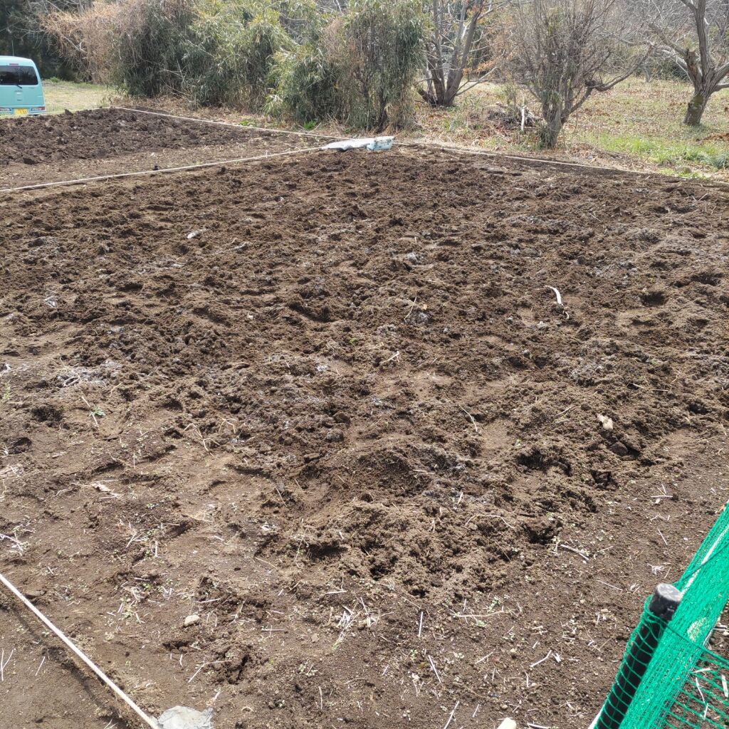 知識 経験ゼロからの家庭菜園 Day5 土づくり 徒然なるランニングのblog