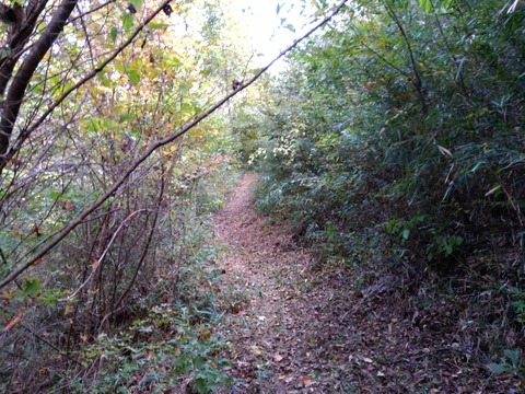 IMG_20191104_111038
