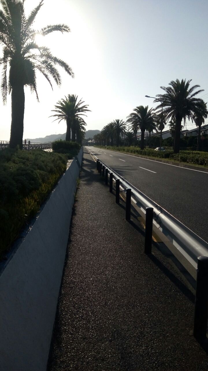 横須賀ホームコース9kmランのご紹介 徒然なるランニングのblog