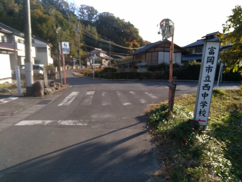 IMG_20201115_075551
