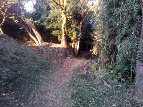 IMG_20201115_065656