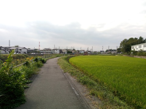 IMG_20180924_074129