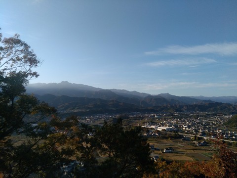 IMG_20201115_073134