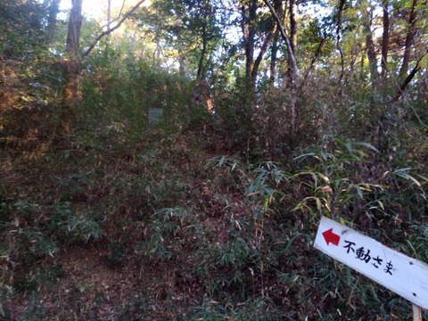 IMG_20201115_065807