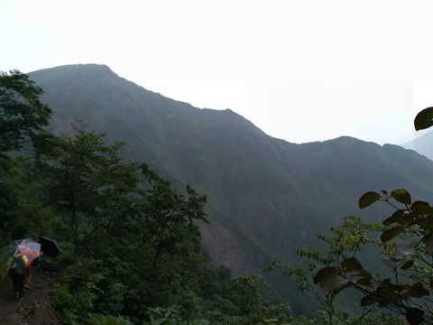 IMG_20200809_085719_1