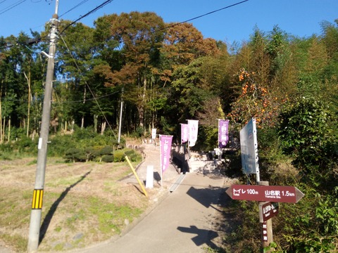 IMG_20181021_074245