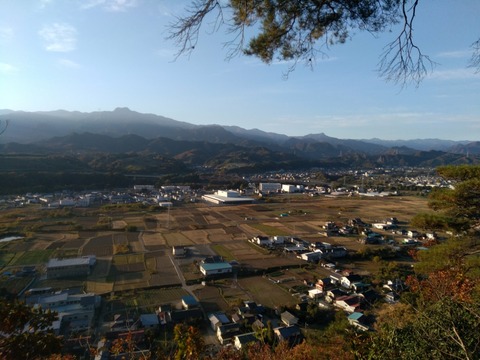 IMG_20201115_072032