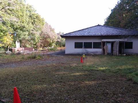 IMG_20191104_085636