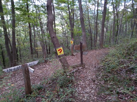 IMG_20191104_100047