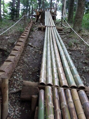 茅ヶ崎市民の森の竹滑り台