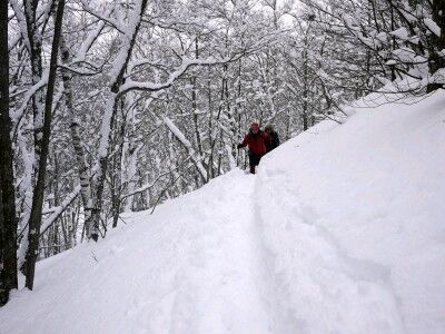 乗鞍高原　スノーシュー　新雪