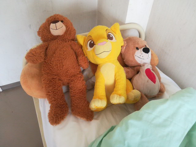 ベア🐻・ライオン🦁