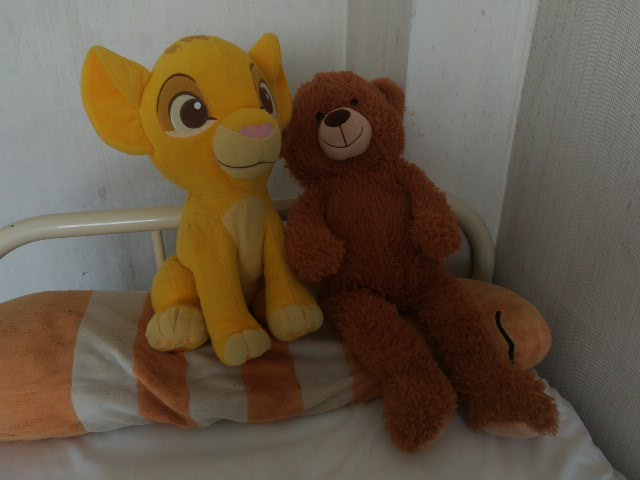 ライオン🦁・ベア🐻