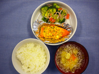 �������������Ϥ󡡤��ޤ��������