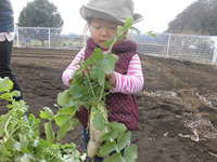 �����������������