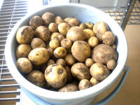 1_���㤬����