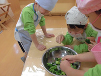 �����������֥���