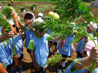 ¿Í»²·¡¤ê£²