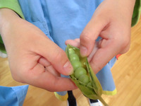 ������������भ����