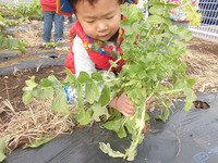 ����������������󣱣�