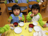 �������������������