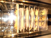 �������������ѥ�