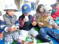 �����������������