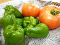 ���Ȫ����ڡ�