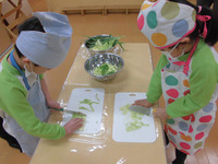 ����������������