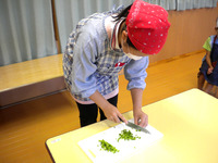 ���������������å�������