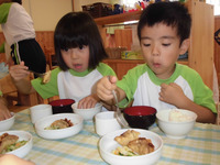 �����������������