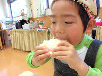 �������������ä���