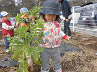 ����������������󣱣�