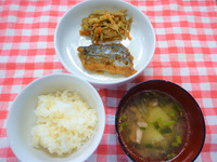 �����ơ��ܤȤ��㤬��Υ����ס��֤������Ƥ������ܶ�ʿ