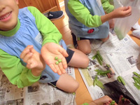 ������������भ��