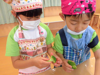 �������������å�����ڤ֤���