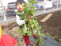 �����������������