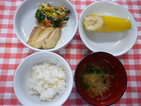 �����ơ����ޤ��������Ф�̣���ѡ��������������Хʥ�