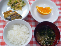 ���Ϥ󡡤��ޤ��������Ф�̣���ѡ������������������