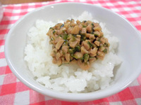 ����������ǼƦ���Ϥ�