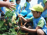 ¿Í»²·¡¤ê£´