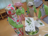 �����������ƣ�