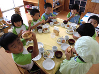 �����������������