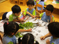 ������������भ��