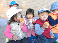 �����������������